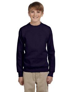 Hanes P360 - EcoSmart® Youth Sweatshirt Marina
