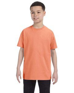 Hanes 5450 - Youth Authentic-T T-Shirt  Candy Orange