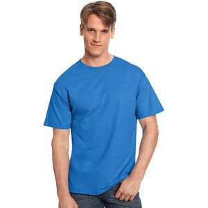 Hanes 5250 - Men's Authentic-T T-Shirt Palace Blue