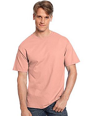 Hanes 5250T - Mens Authentic-T T-Shirt