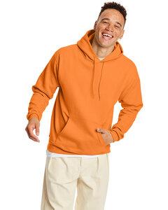 Hanes P170 - EcoSmart® Hooded Sweatshirt